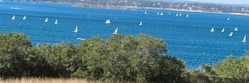sail boats on Canyon Lake